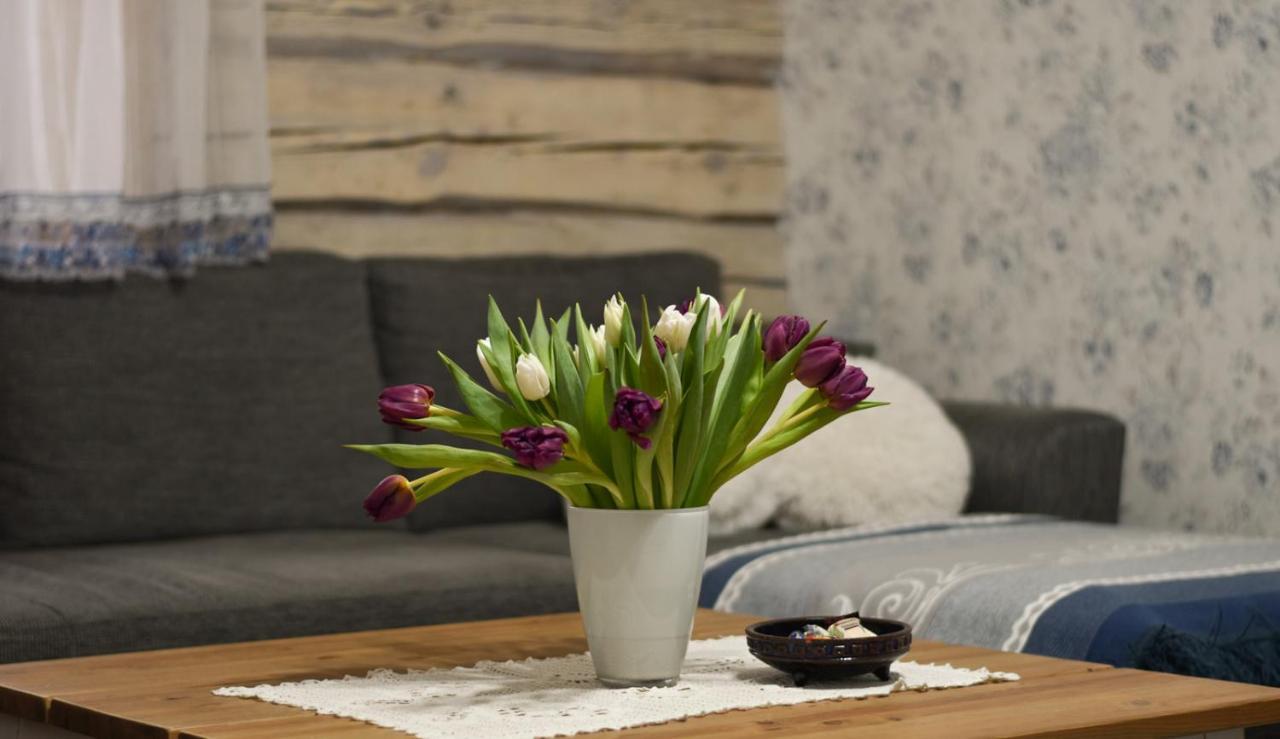 Paju Apartement With Sauna Võru Dış mekan fotoğraf